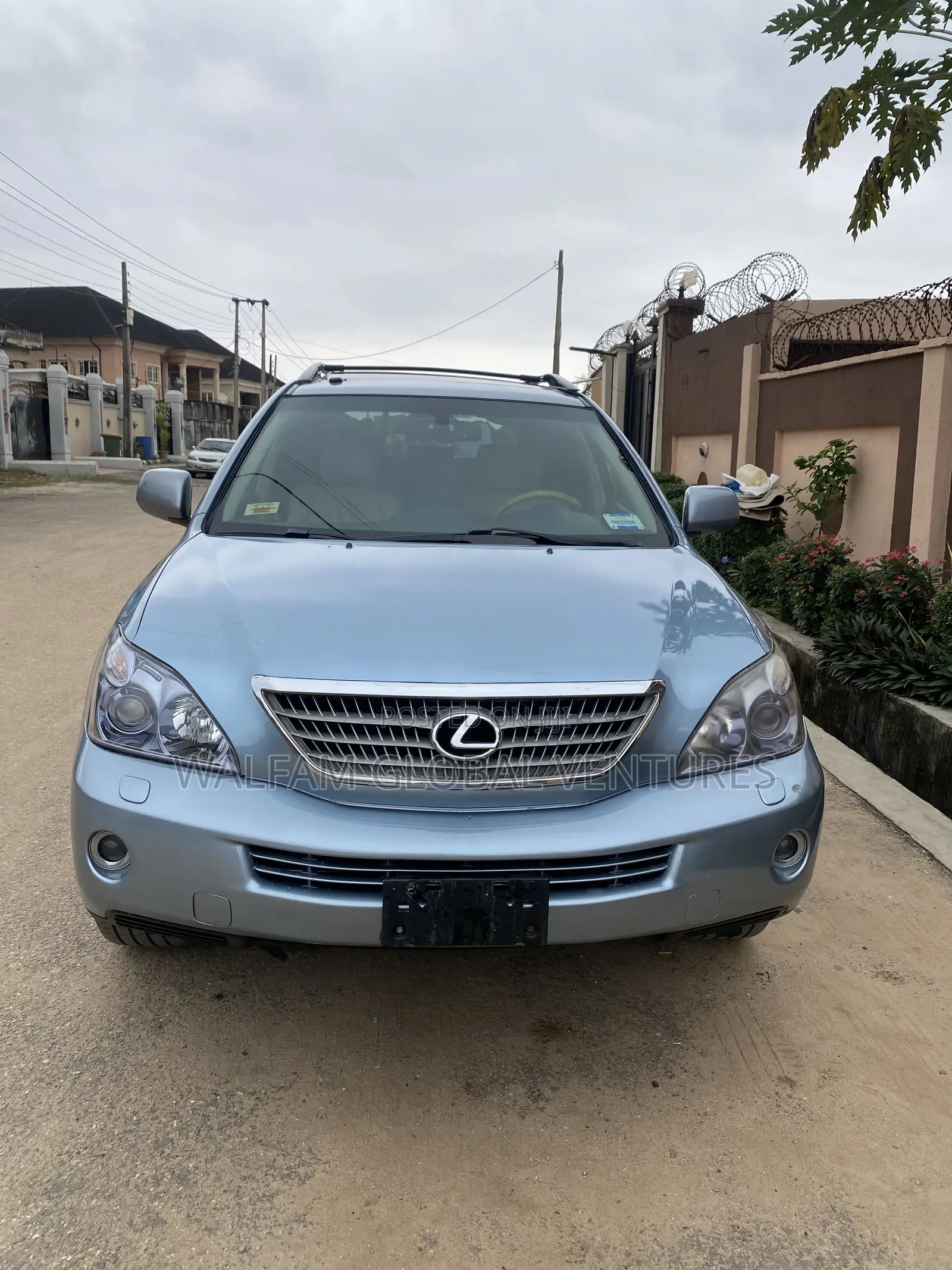 Lexus RX 2009 Blue