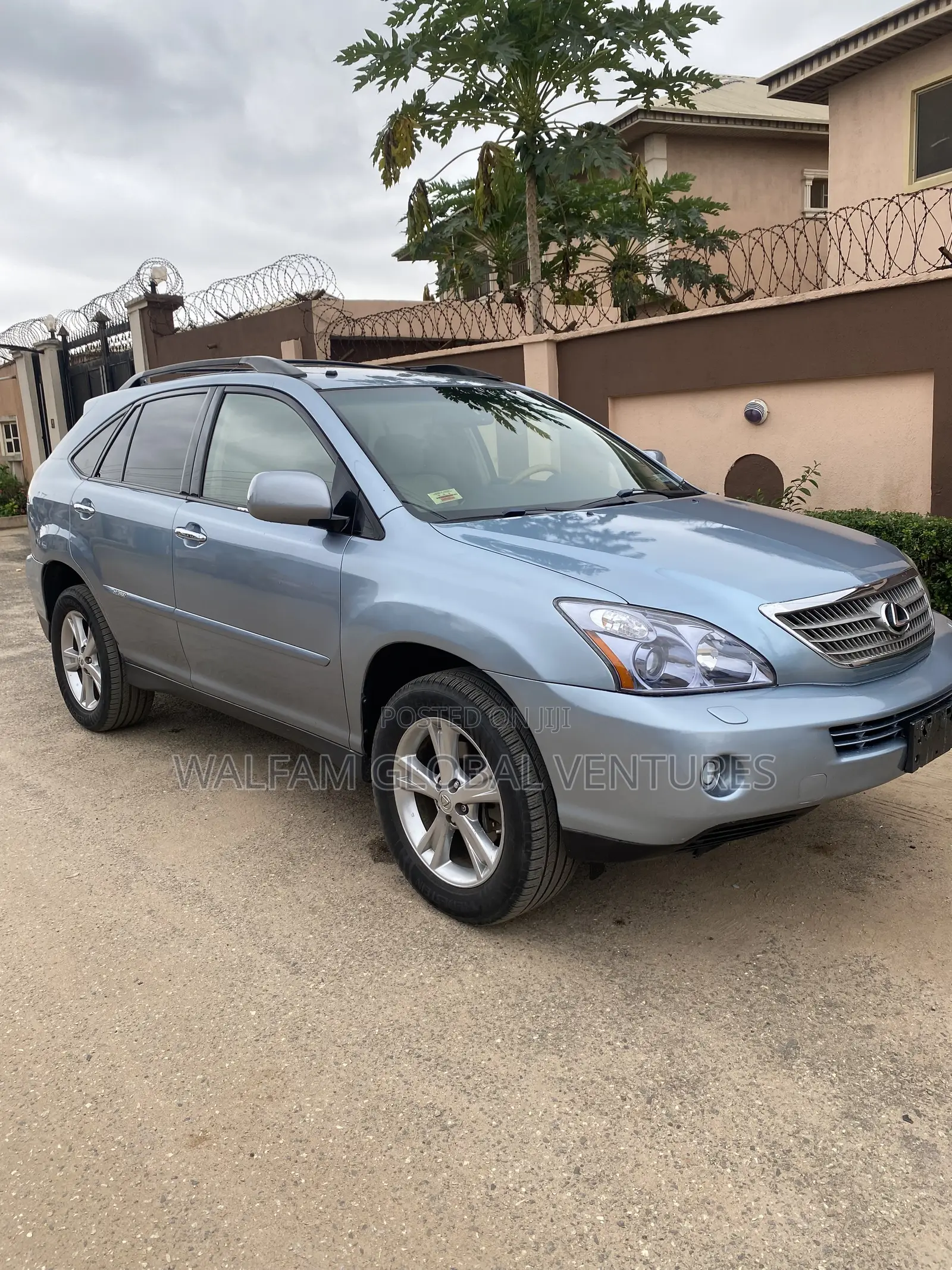 Lexus RX 2009 Blue