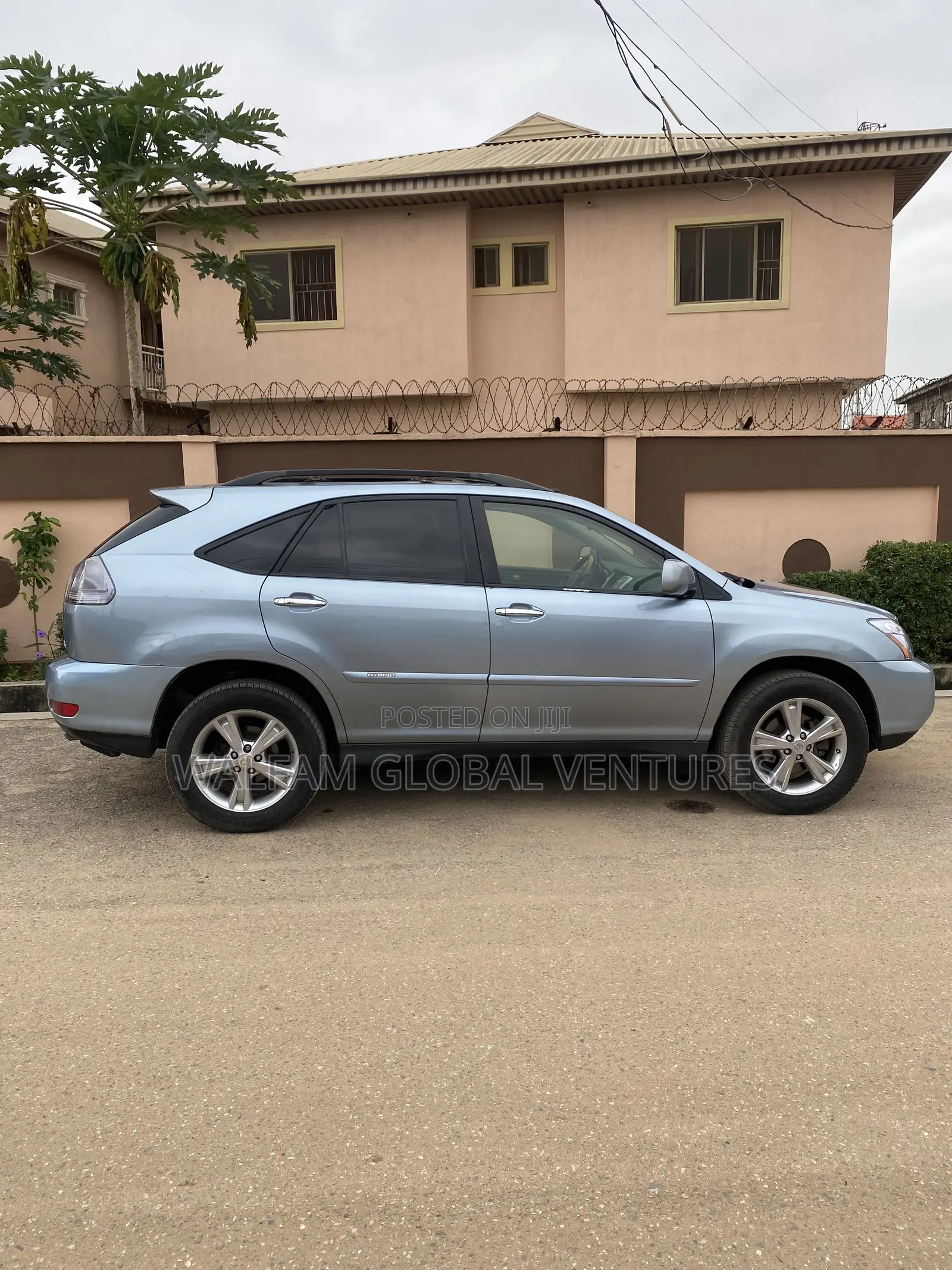 Lexus RX 2009 Blue