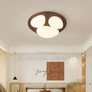 Modern Minimalist Creative Pebble Ceiling Light.