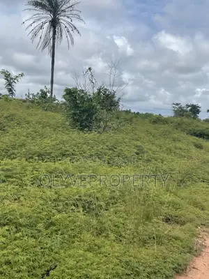 Buy and Build Plots of Land for Sale at IBUZO for Sale