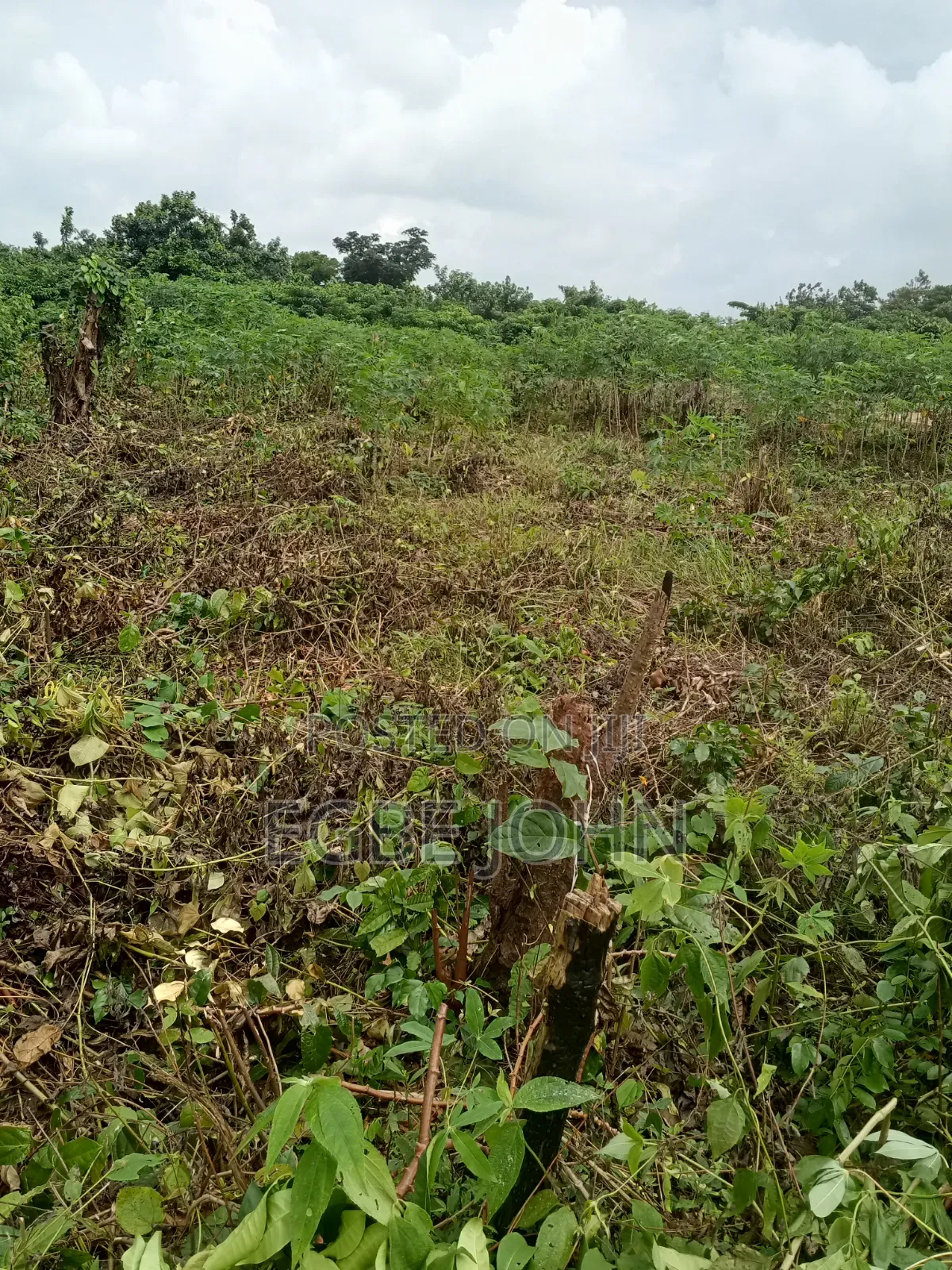 Land for Sale