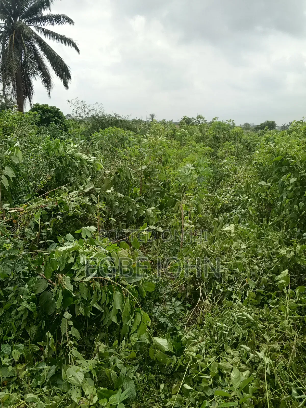 Land for Sale