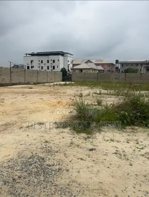 500SQM C of O Dry Land for Sale at Opposite Fashola Estate