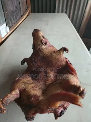Roasted and Frozen Bushmeat