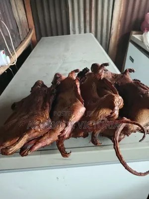 Roasted and Frozen Bushmeat