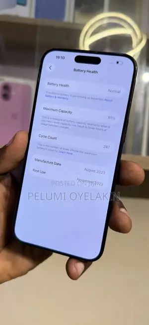 Apple iPhone 15 Pro Max 256 GB Gray