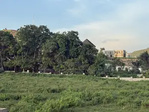 8 Hectares Mixed Use Land