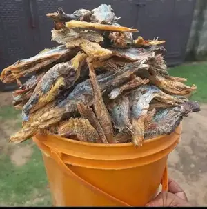 Freshness Overload Fresh Bonga Fillets