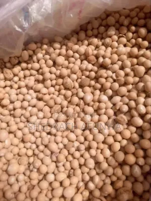 100kg Bag Bambara Nut