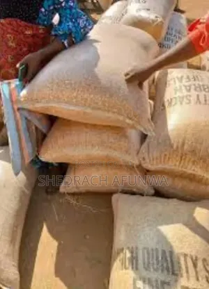 100kg Bag Bambara Nut