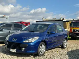 Peugeot 307 2.0 140 Tendance 2007 Blue