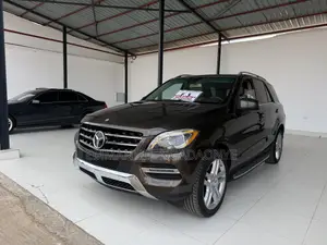 Mercedes-Benz M Class 2015 Brown