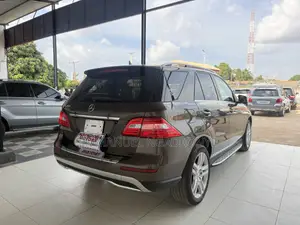 Mercedes-Benz M Class 2015 Brown