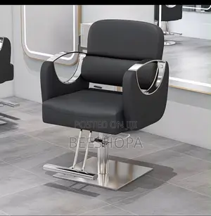 Salon Chair