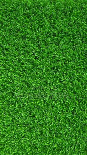 Best Artificial Grass
