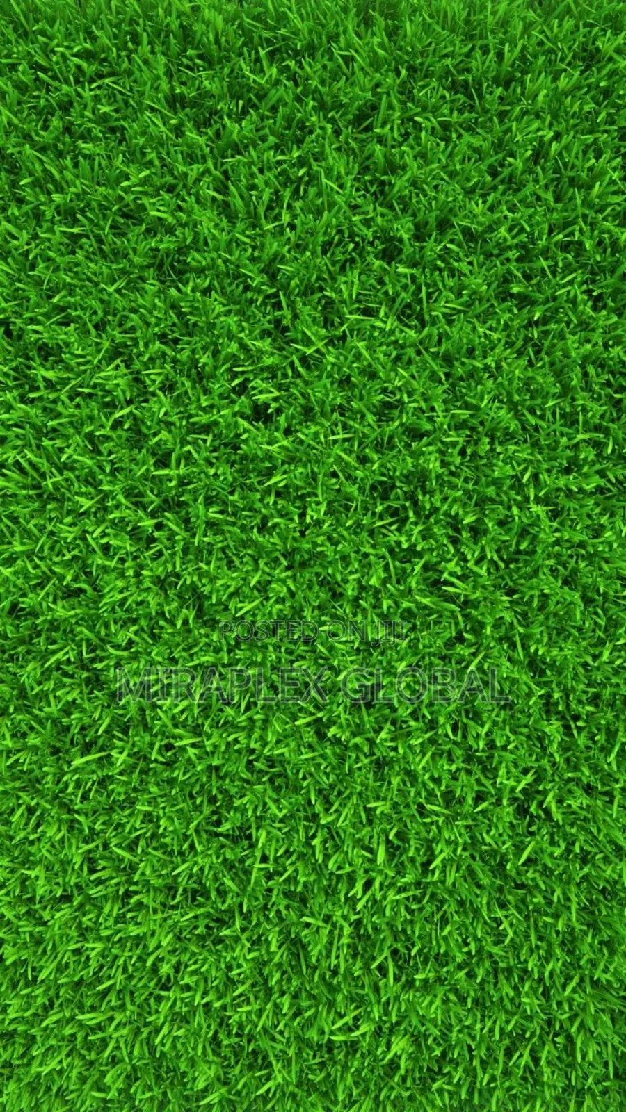 Best Artificial Grass