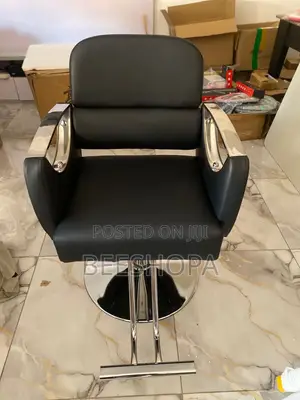Salon Chair