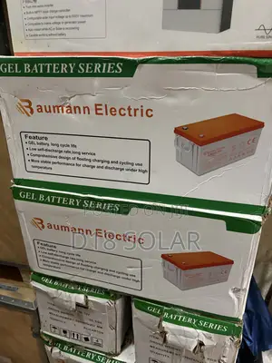 Baumann 200ah 12v Tall Lithium Batteries
