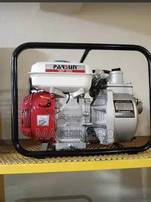 Original Parsun Water Pump