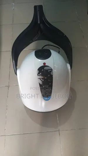 Mango Hair Dryer