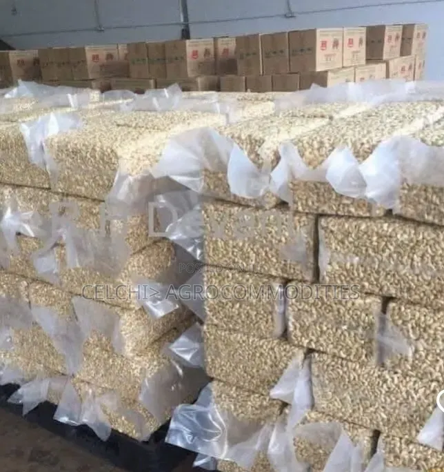 Processed Cashew Kennels