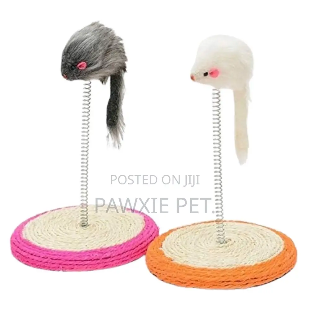 Cat Scratch Toy