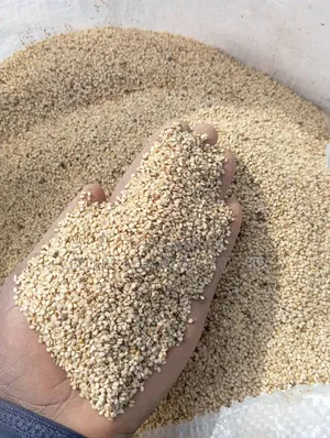 Clean and Sorted Export Ready Sesame Seeds