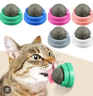 Catnip Cat Toy With Adhesive Base