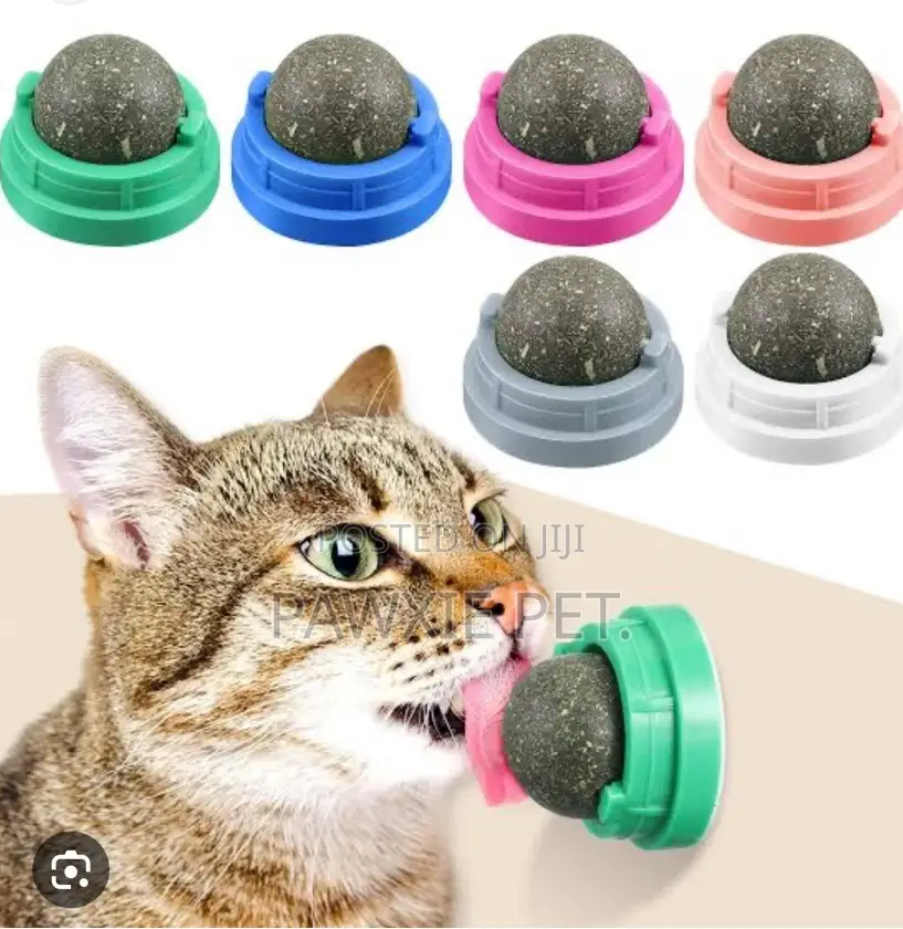 Catnip Cat Toy With Adhesive Base