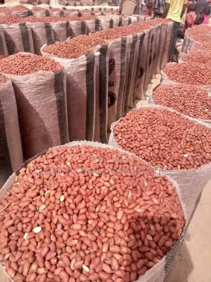 Clean Peanut (Groundnut) - Export and Local Bulk Supply.