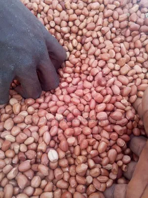 Clean Peanut (Groundnut) - Export and Local Bulk Supply.
