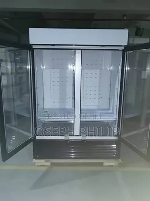 Industrial 2 Door Display Chiller