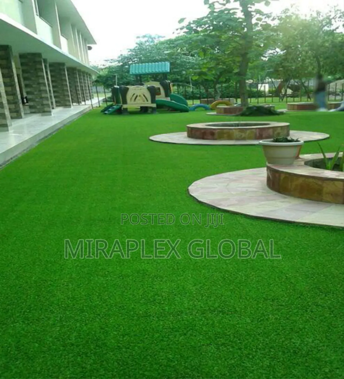 Quality Carpet Grass