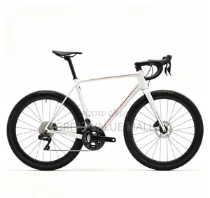Adult Bike