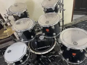 Professional Drum Set
