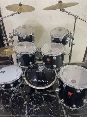 Professional Drum Set