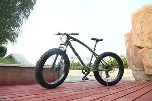 Premium Adult Bicycle