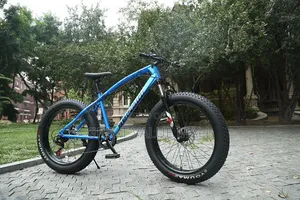 Premium Adult Bicycle