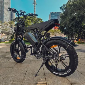 Electric Bicycle