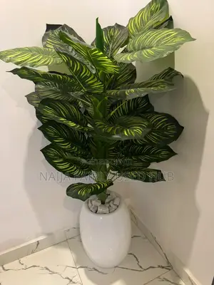 Flower Pot