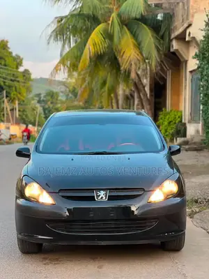Peugeot 307 2007 Black