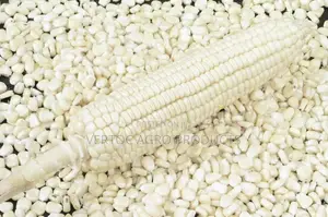 Fresh White Corn (100Kg Bag for NGN 49,000)