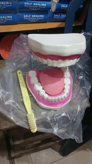Dental Care Model