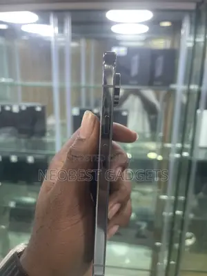 Google Pixel 9 Pro XL 256 GB Gray