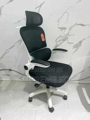 High Classic Ergonomic Office Chair