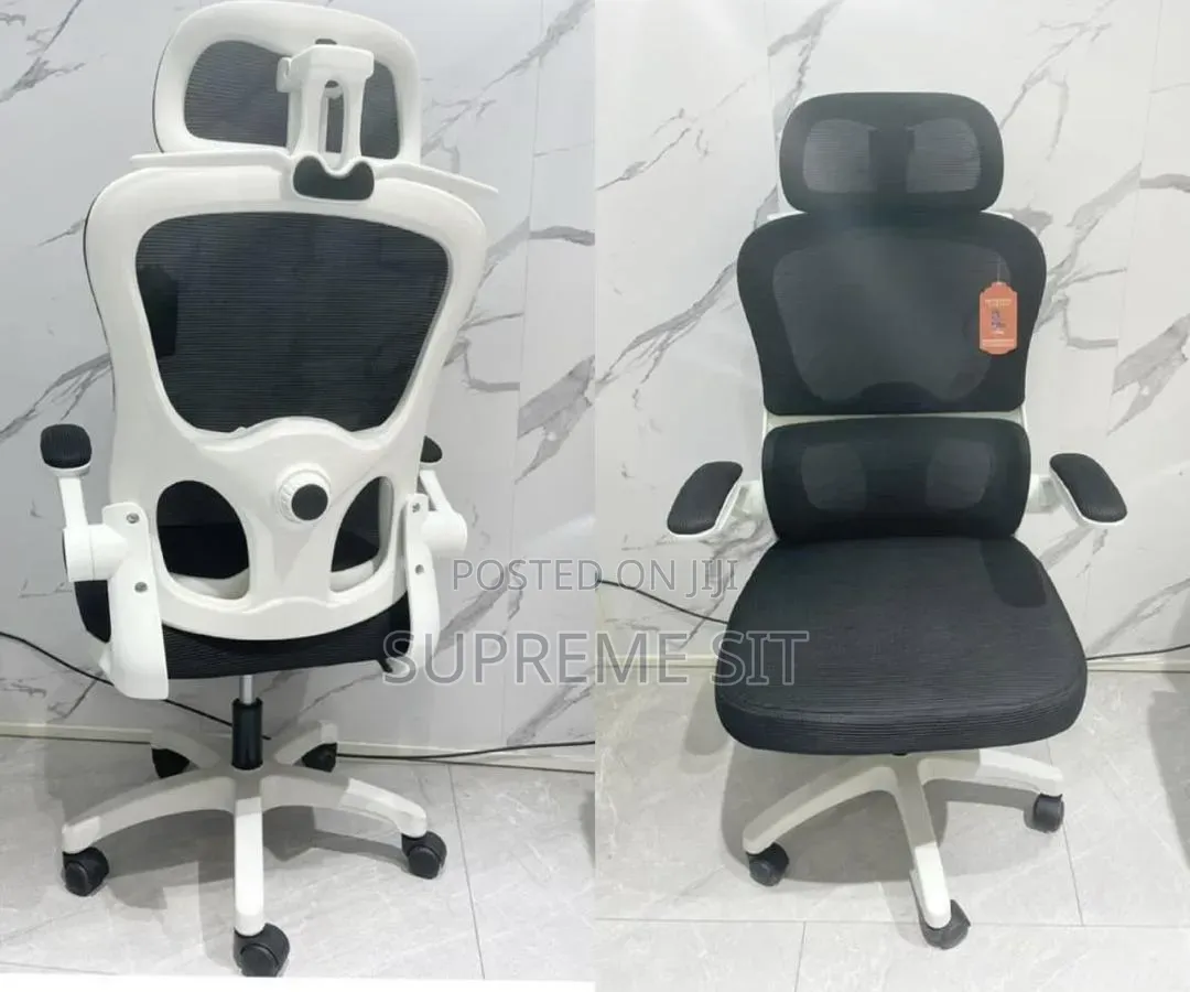 High Classic Ergonomic Office Chair
