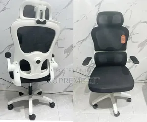 High Classic Ergonomic Office Chair