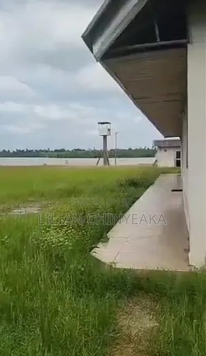 Functional Jetty