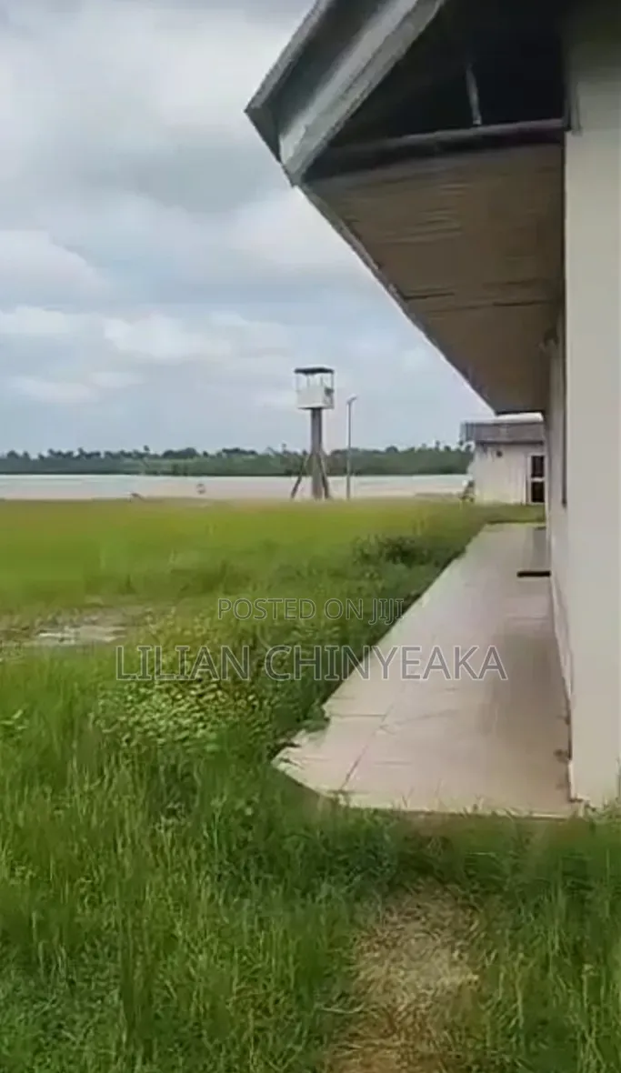 Functional Jetty
